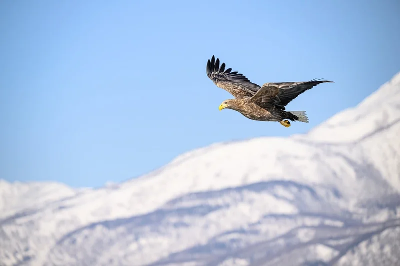 Prix de l'immobilier à L'Aigle : attention, marché tendu