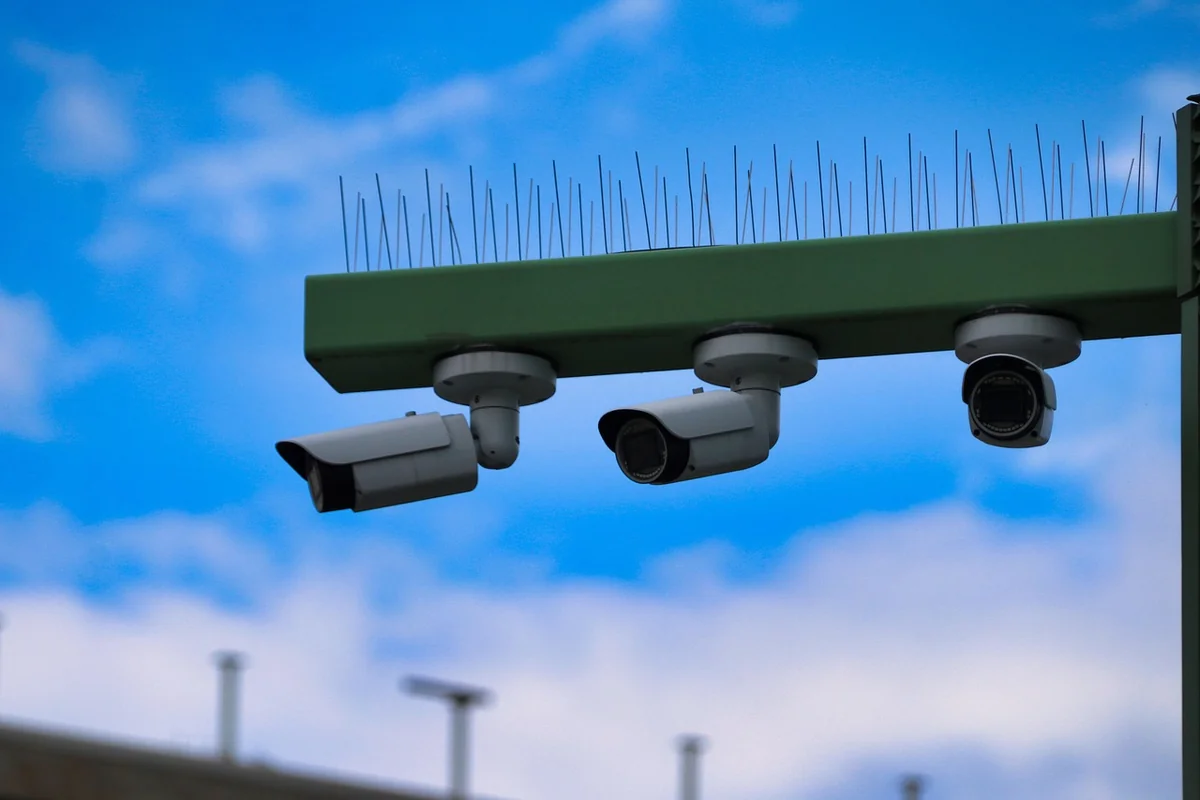 Après le dépôt : surveillance et défense