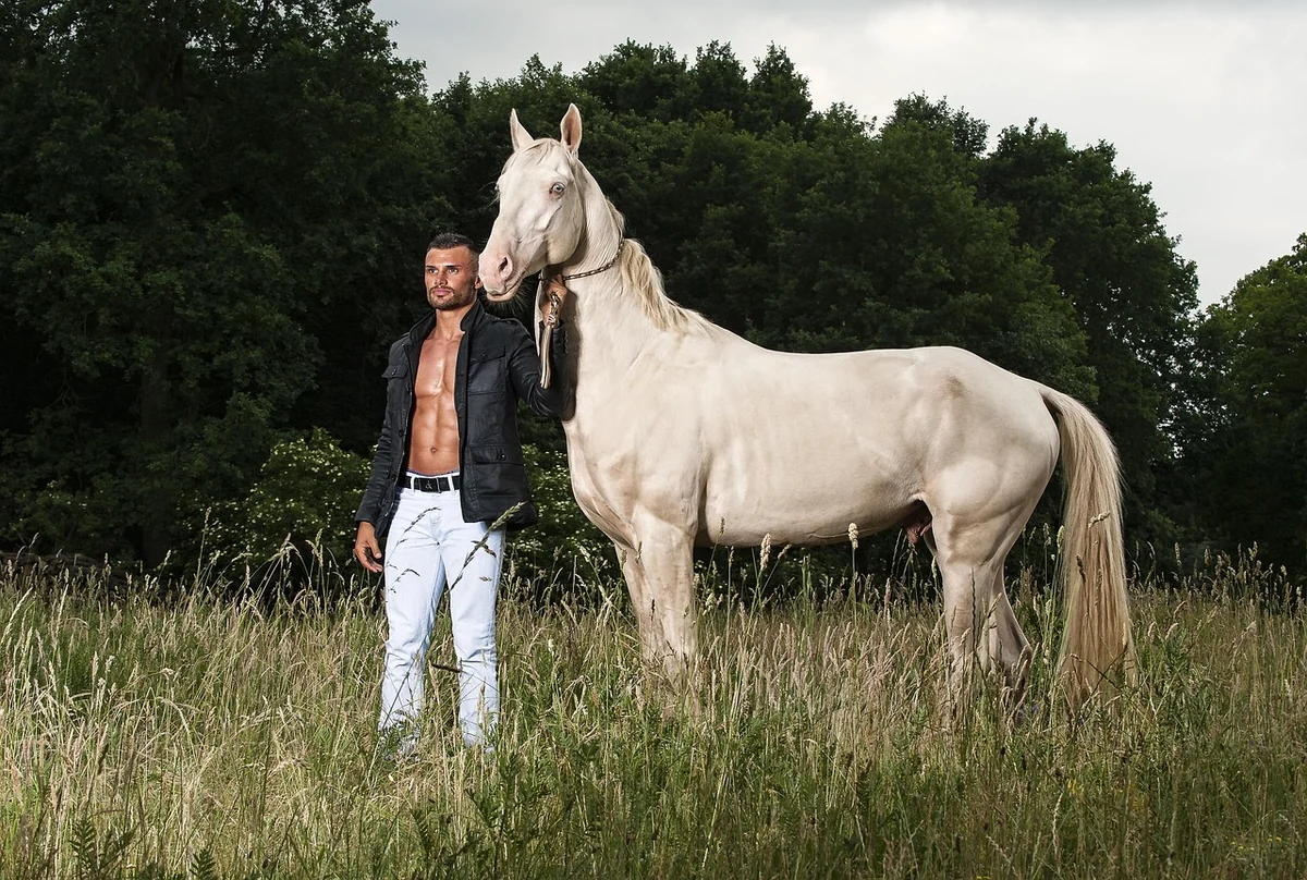 cheval