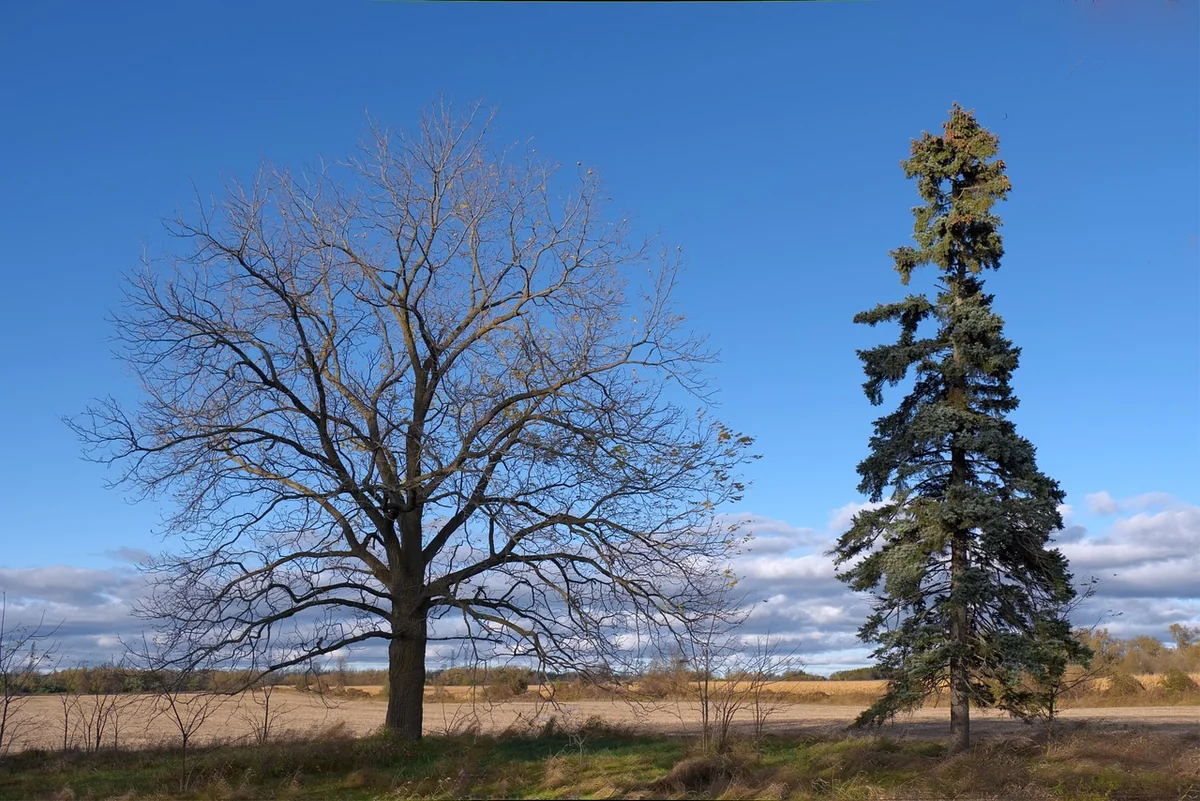 Comparatif 2026 des 4 meilleurs gratuits