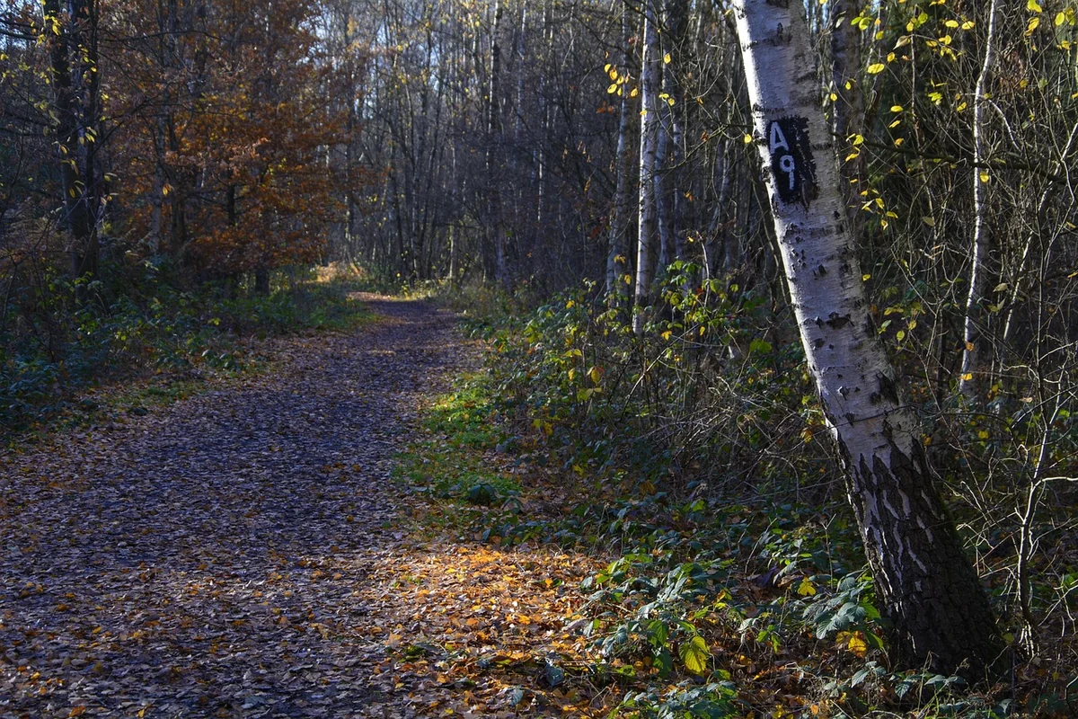 Votre premier réflexe : la confidentialité absolue