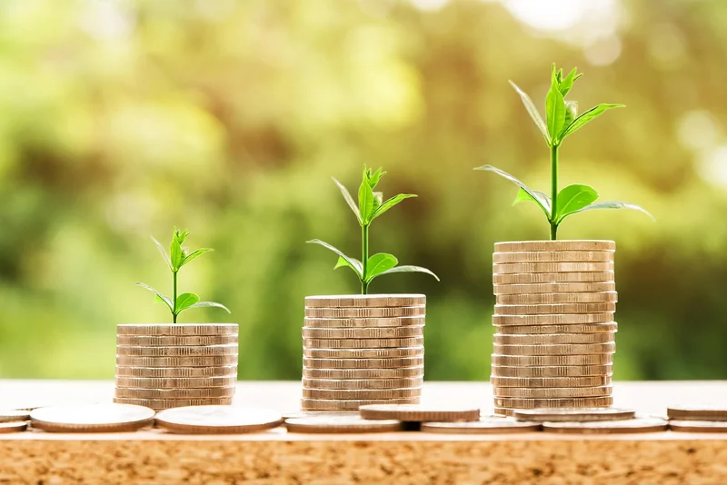 Salaire et rémunération : ce que révèlent les documents officiels