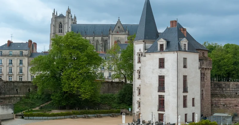 Ce que personne ne vous dit sur la réglementation à Nantes